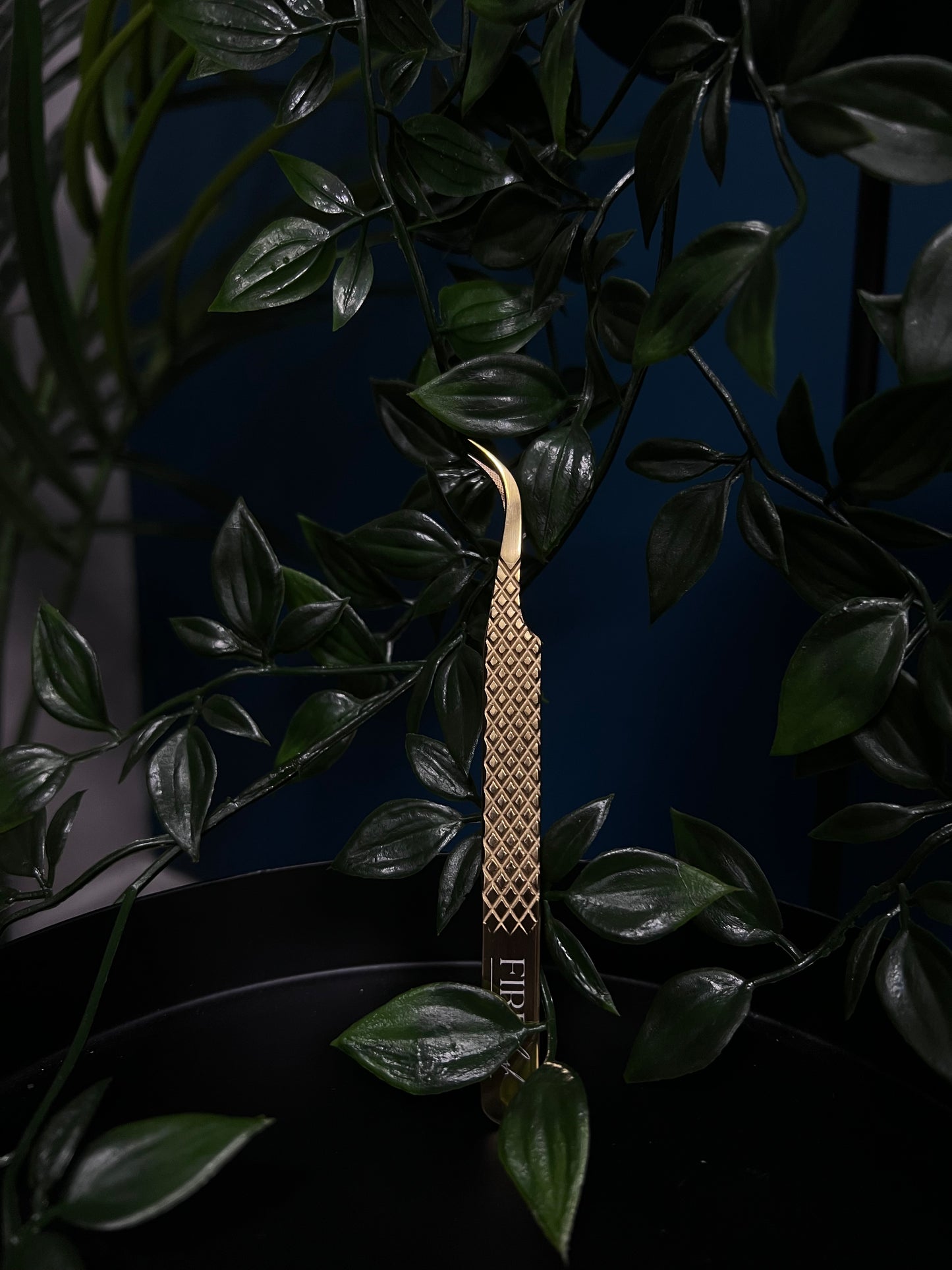 Desired Curve Tweezers