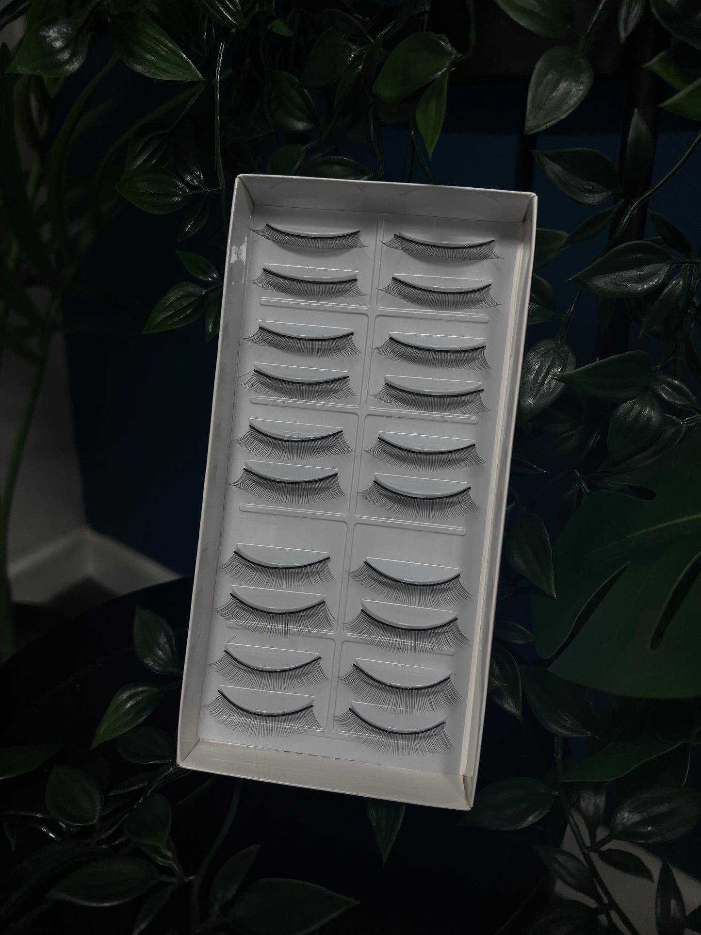 Training Lashes (10pack)